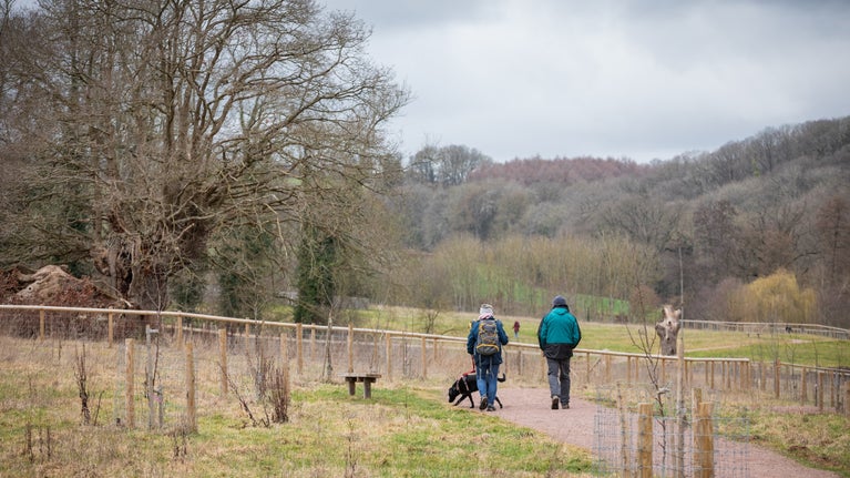 People walking their dog at the Brockhampton estate with winter trees in the background.